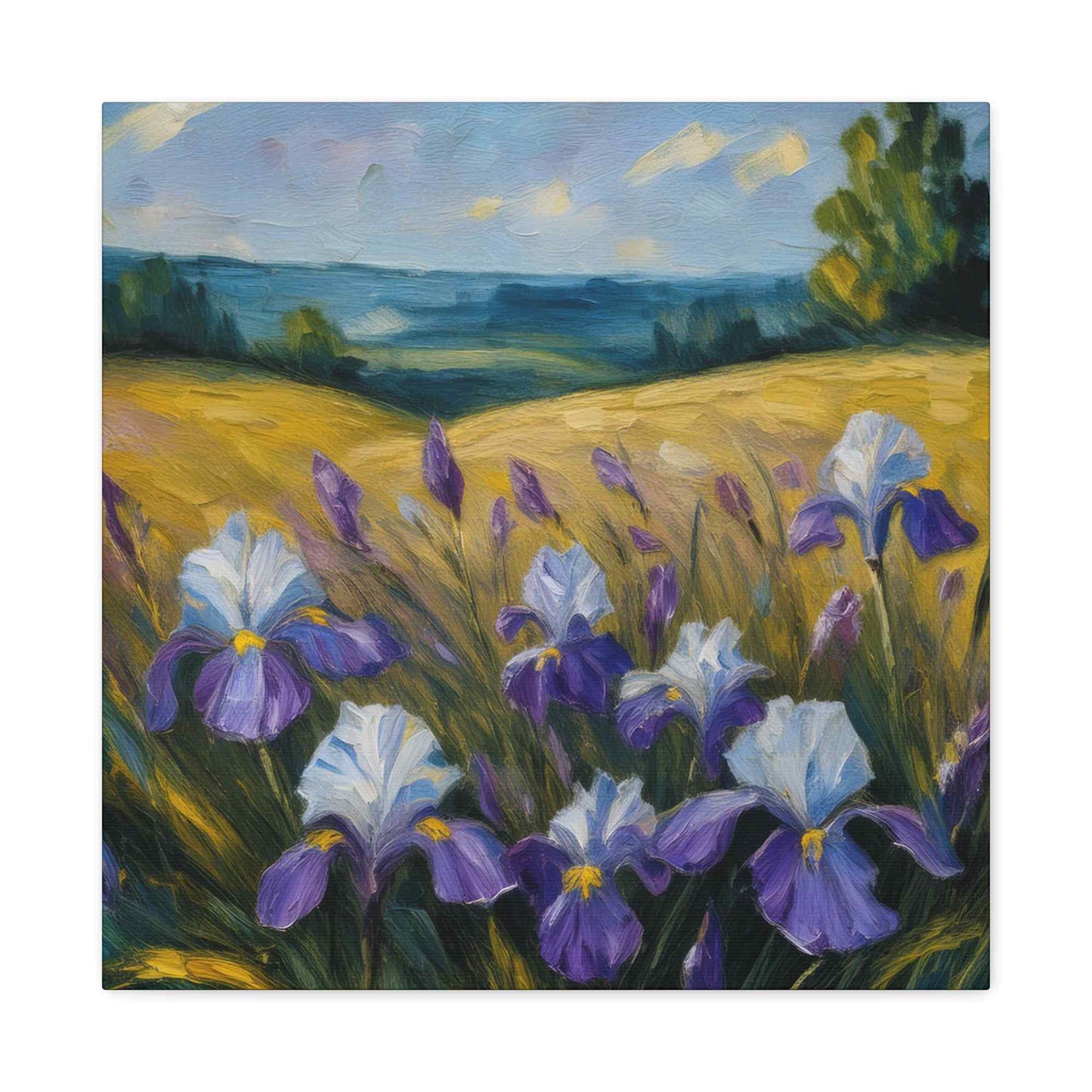 Irises Floral Print Canvas, Floral Oil Paint Print 20x20, 24x24, 30x30, 32x32, 36x36 Art Design Pine-Wood Inner Frame MC-181