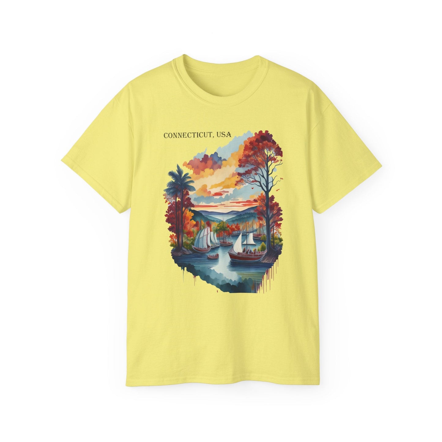 Connecticut Graphic Unisex Cotton T‑Shirt 1