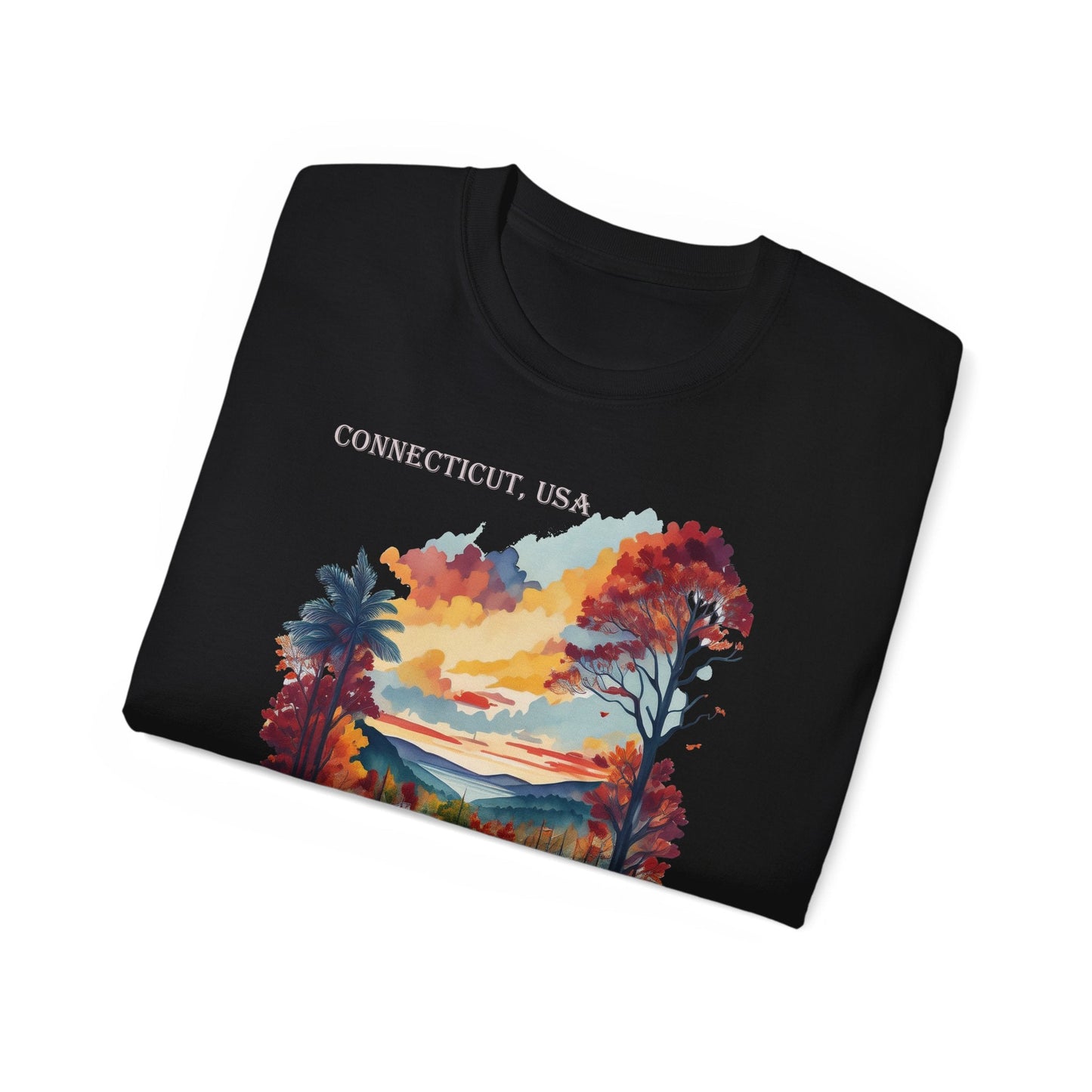 Connecticut Graphic Unisex Cotton T‑Shirt 1