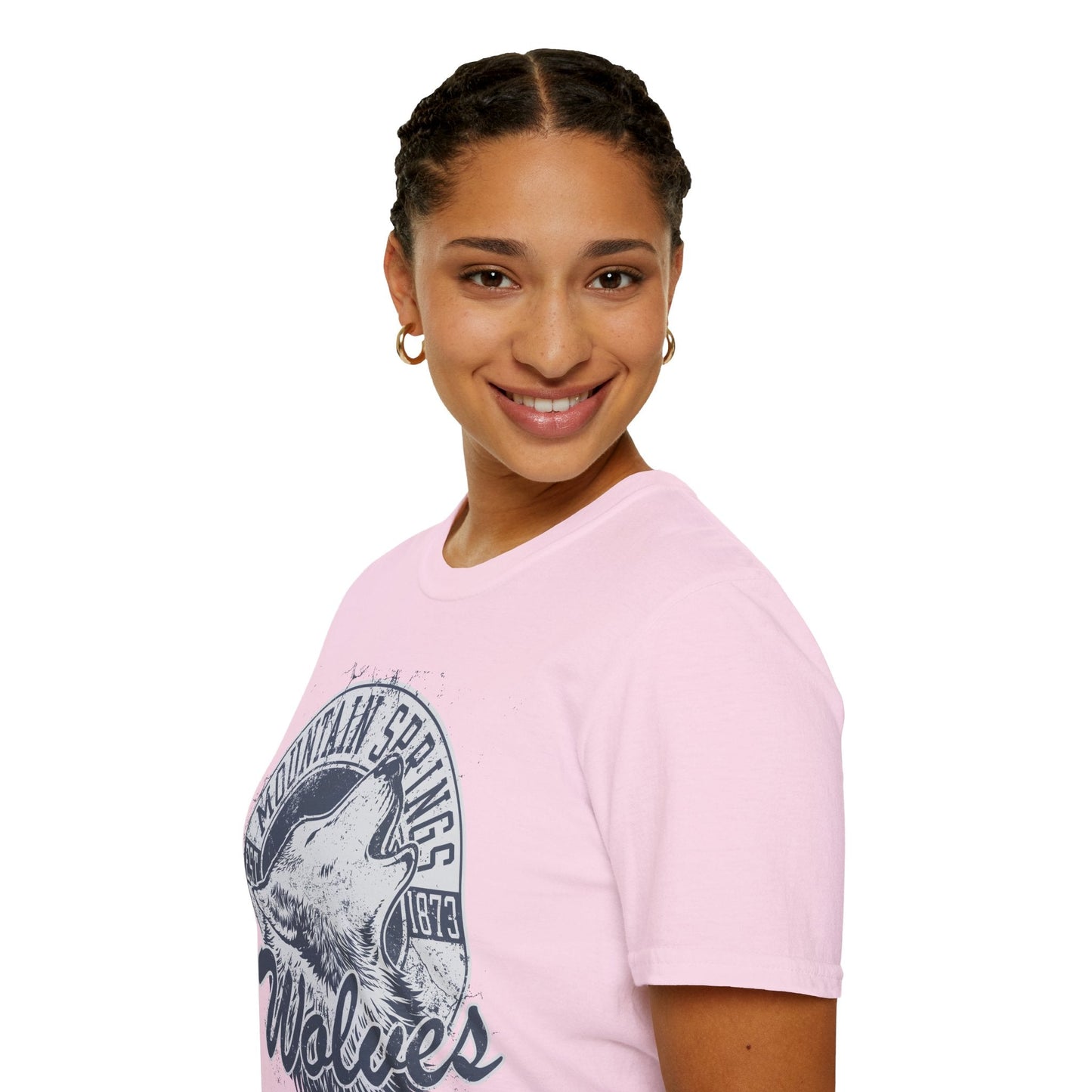 Art Design Graphic T Shirt Unisex Softstyle Tee Gildan 64000 Art Graphic Shirt Classic
