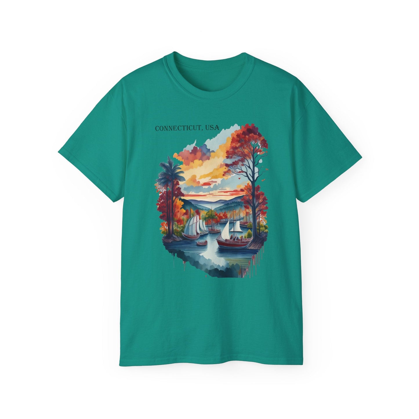 Connecticut Graphic Unisex Cotton T‑Shirt 1