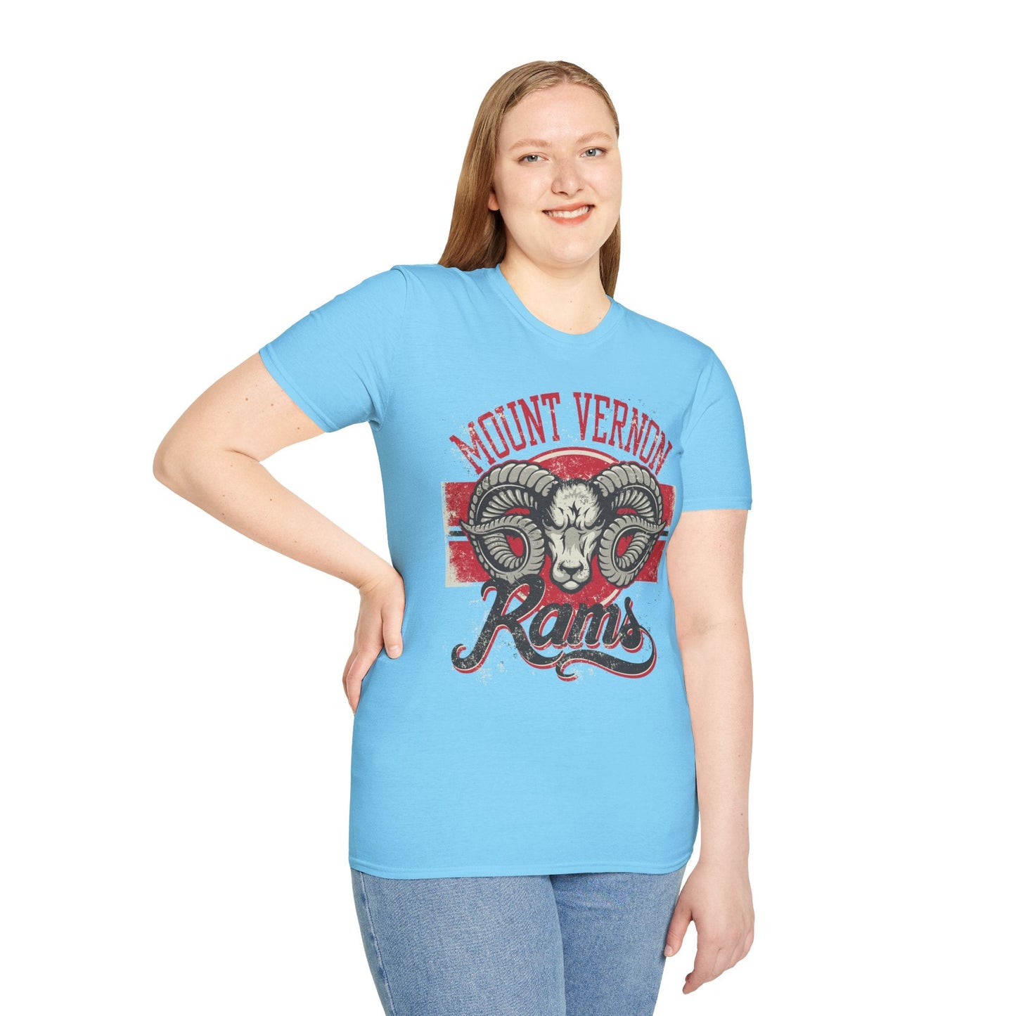 Art Design Graphic Tee Shirt Unisex Softstyle 100 Percent Cotton Gildan 64000 Premium Comfort