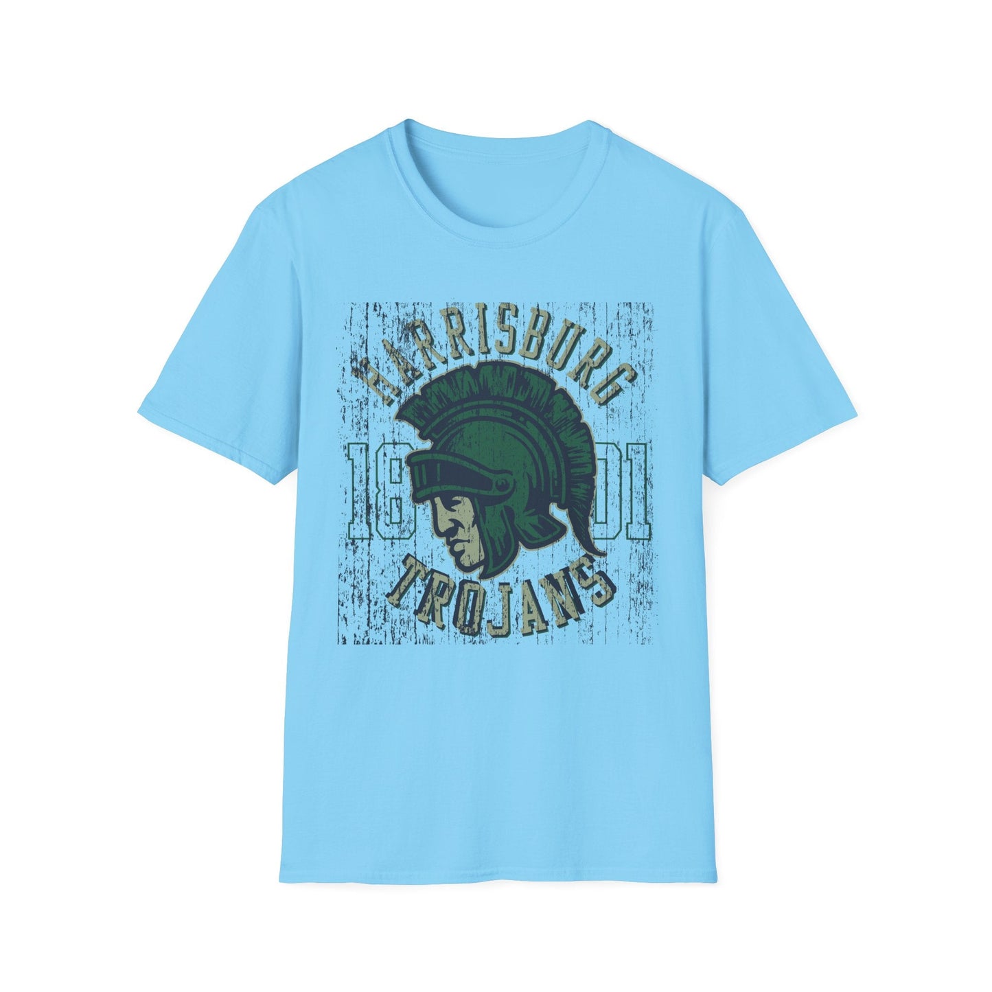 Unisex Gildan Softstyle 64000 Art Design Graphic T Shirt With Artwork Print For Everyday Wear