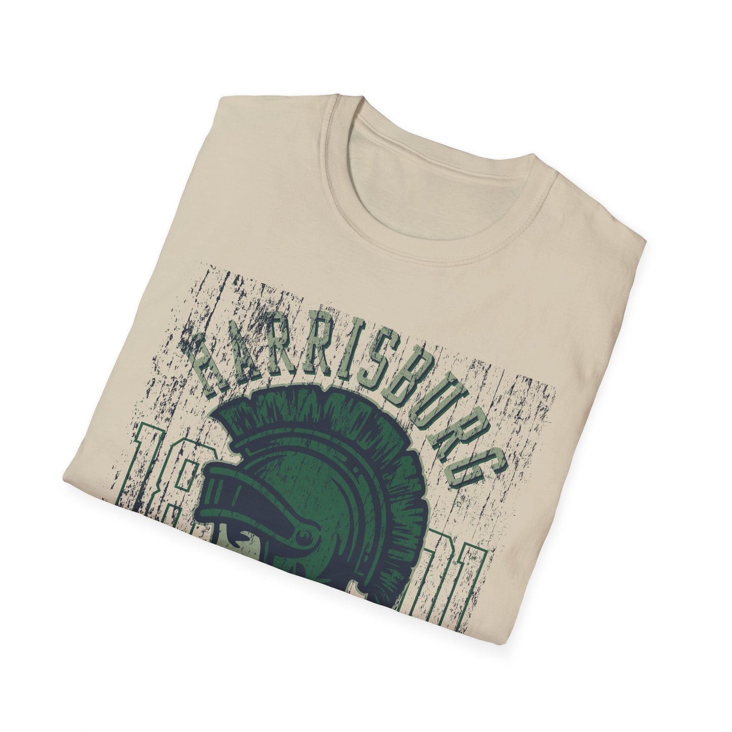 Unisex Gildan Softstyle 64000 Art Design Graphic T Shirt With Artwork Print For Everyday Wear