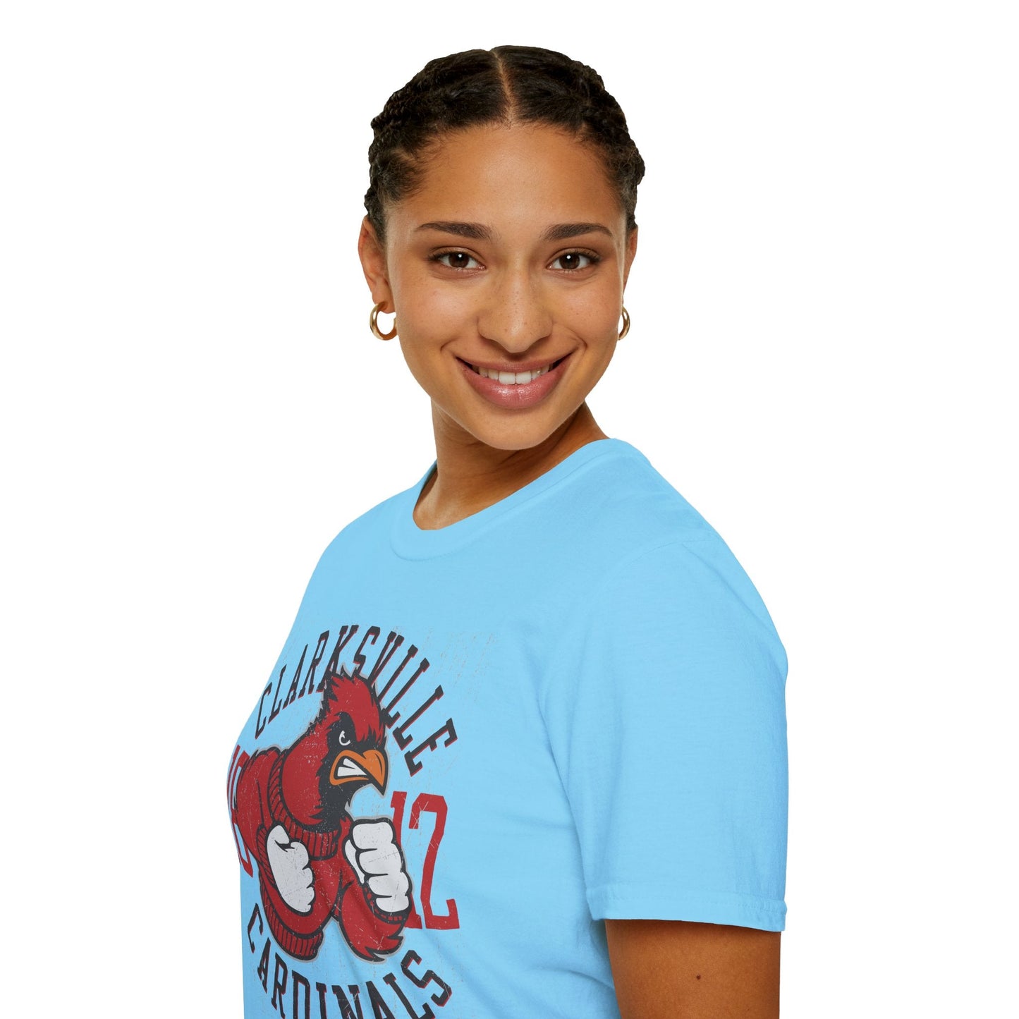 Art Design Graphic Tee Unisex Softstyle Gildan 64000 100 Percent Ring Spun Cotton