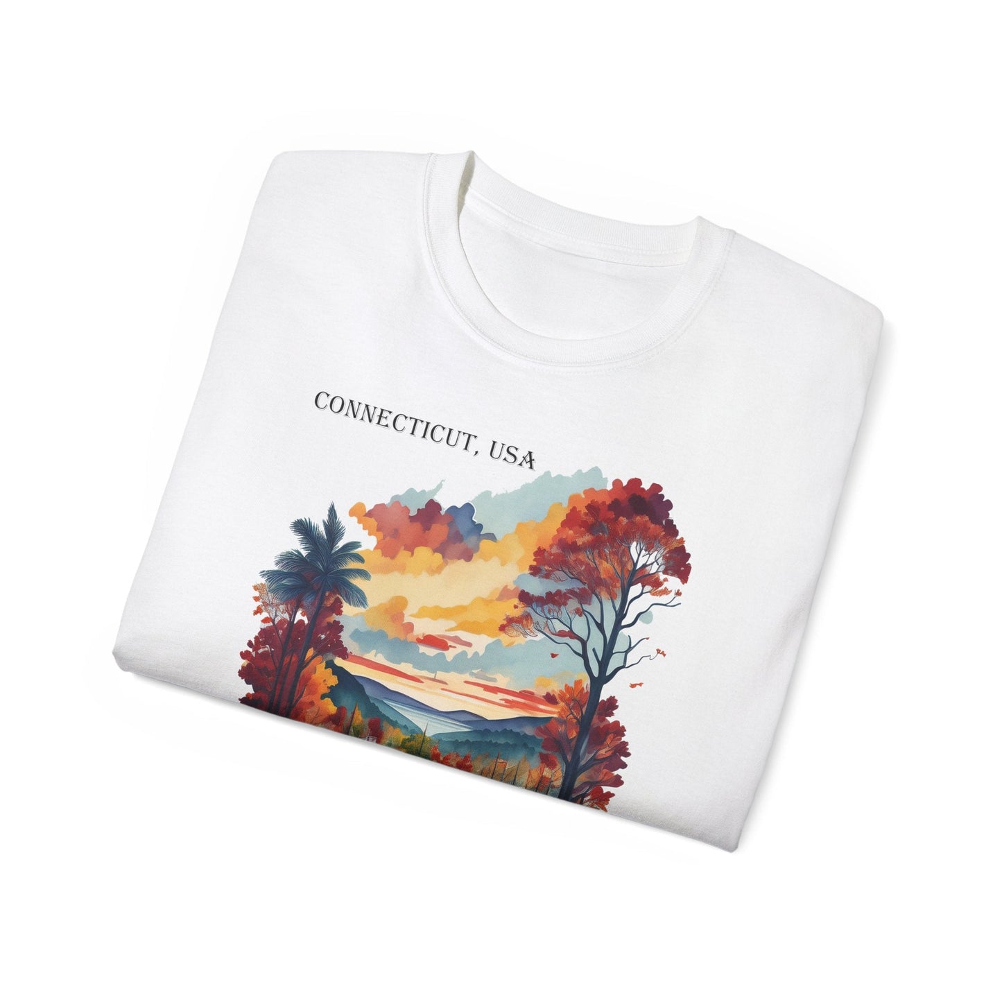 Connecticut Graphic Unisex Cotton T‑Shirt 1