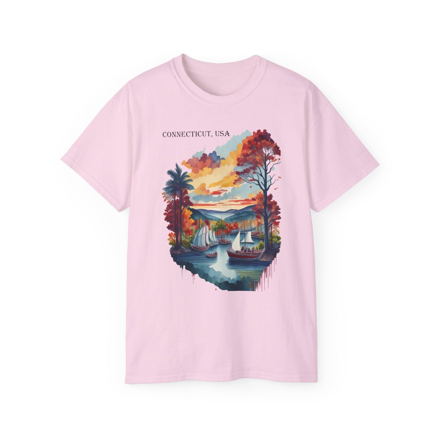 Connecticut Graphic Unisex Cotton T‑Shirt 1