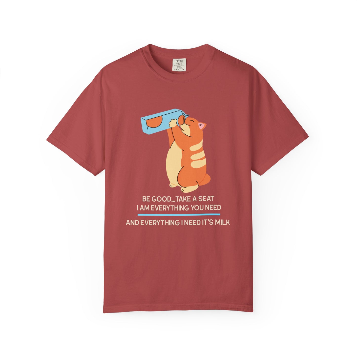 Funny T Shirt Sayings