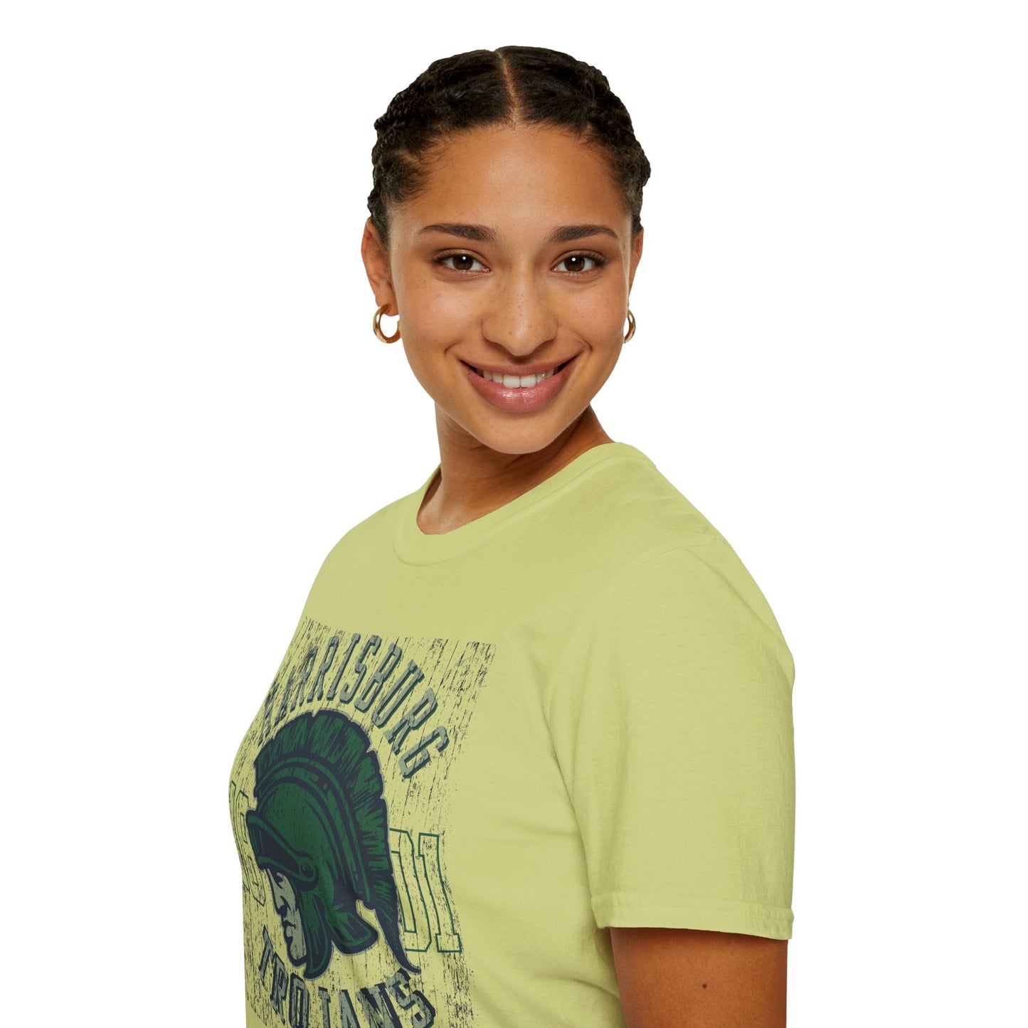 Unisex Gildan Softstyle 64000 Art Design Graphic T Shirt With Artwork Print For Everyday Wear