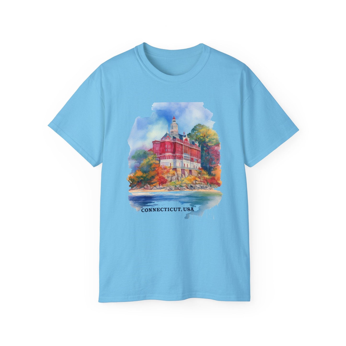 Connecticut Graphic Unisex Cotton T‑Shirt 2
