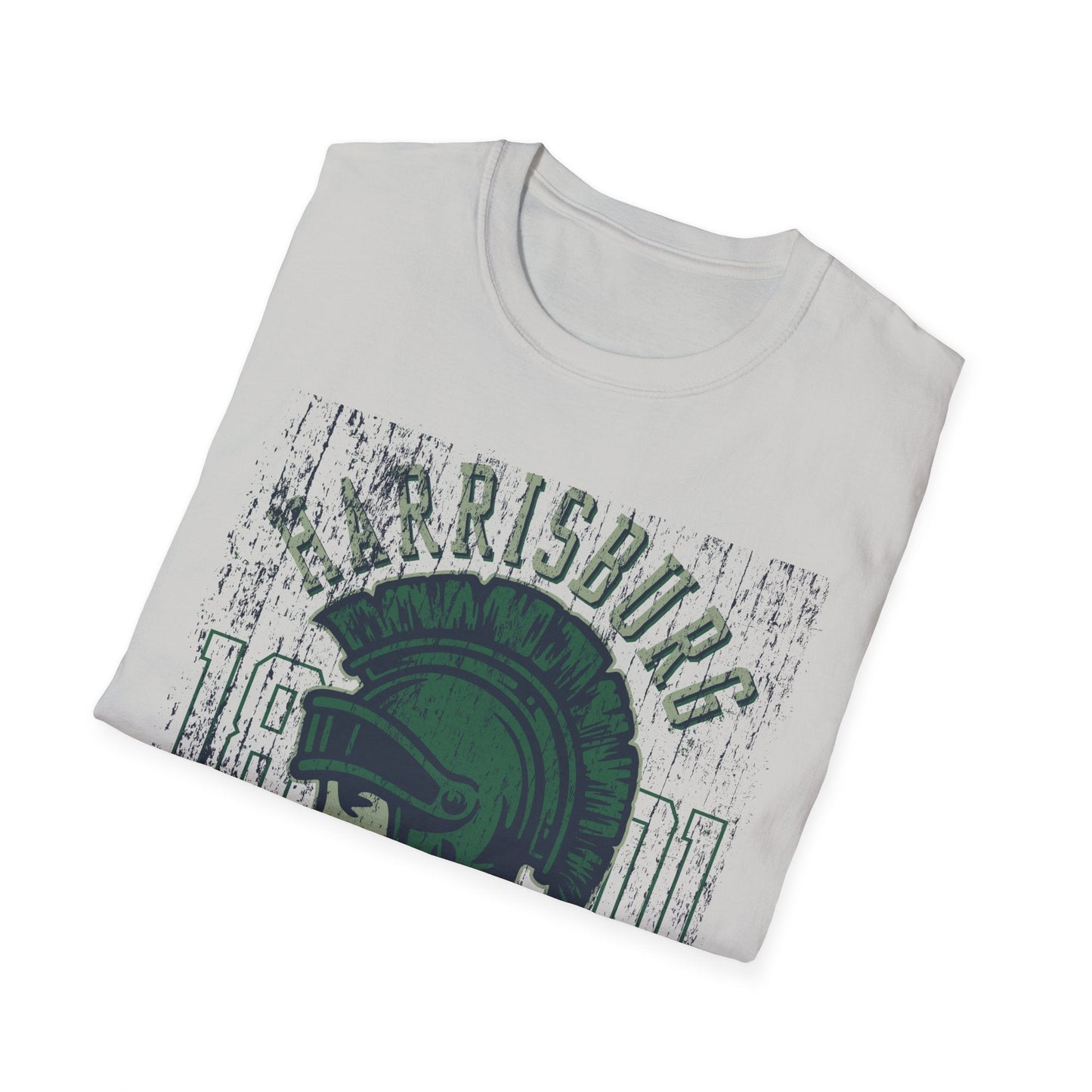 Unisex Gildan Softstyle 64000 Art Design Graphic T Shirt With Artwork Print For Everyday Wear