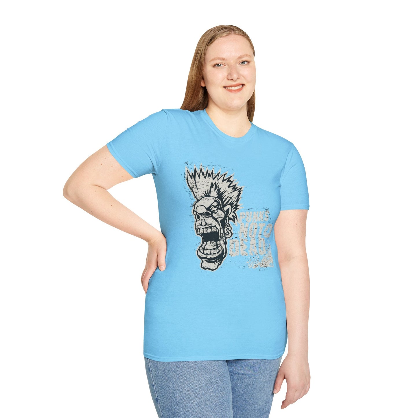 Art Design Graphic Unisex Softstyle T Shirt With Graphic Art Tee For Everyday Wear