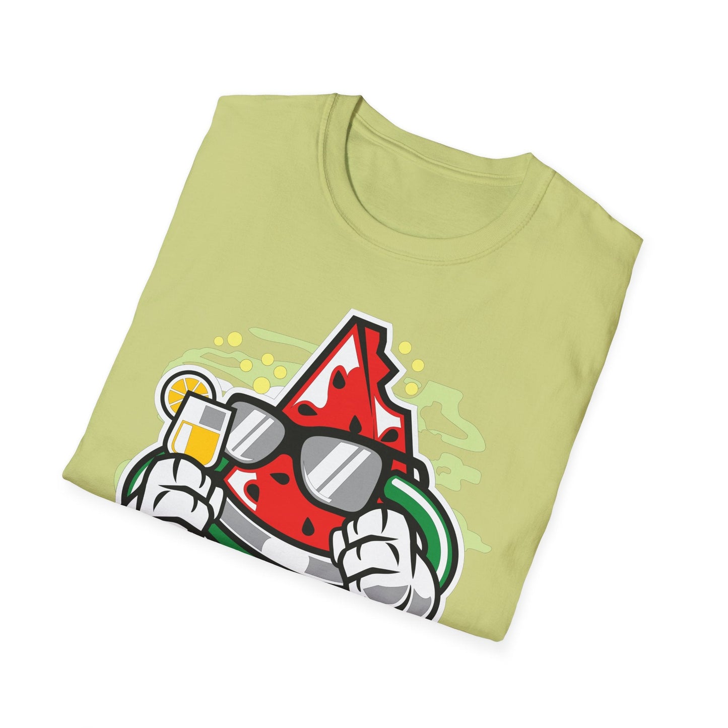 Cartoon T Shirt Animation T Shirt Funny Tee Shirt Unisex Gildan Softstyle 64000 Artwork