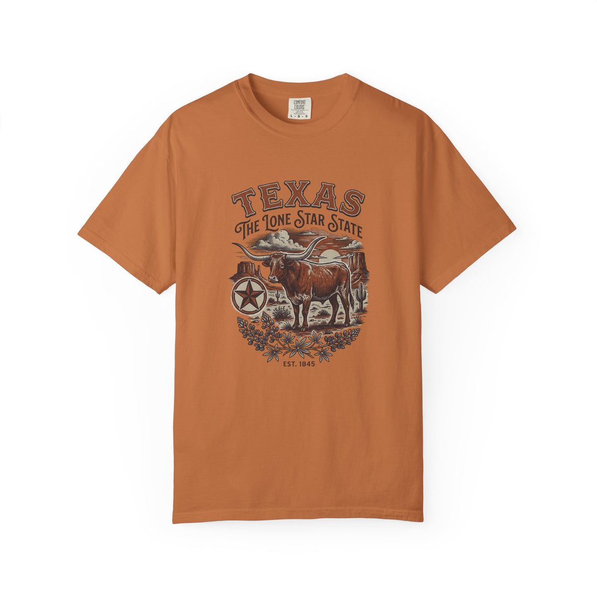 Texas State Vintage Travel Tourist Graphic Tee Unisex 100 Cotton Comfort Colors T-Shirt