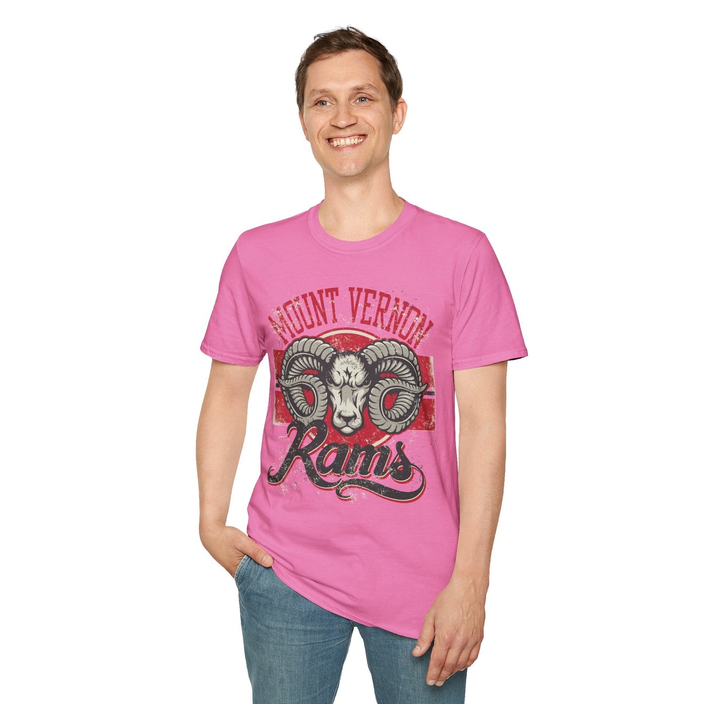 Art Design Graphic Tee Shirt Unisex Softstyle 100 Percent Cotton Gildan 64000 Premium Comfort