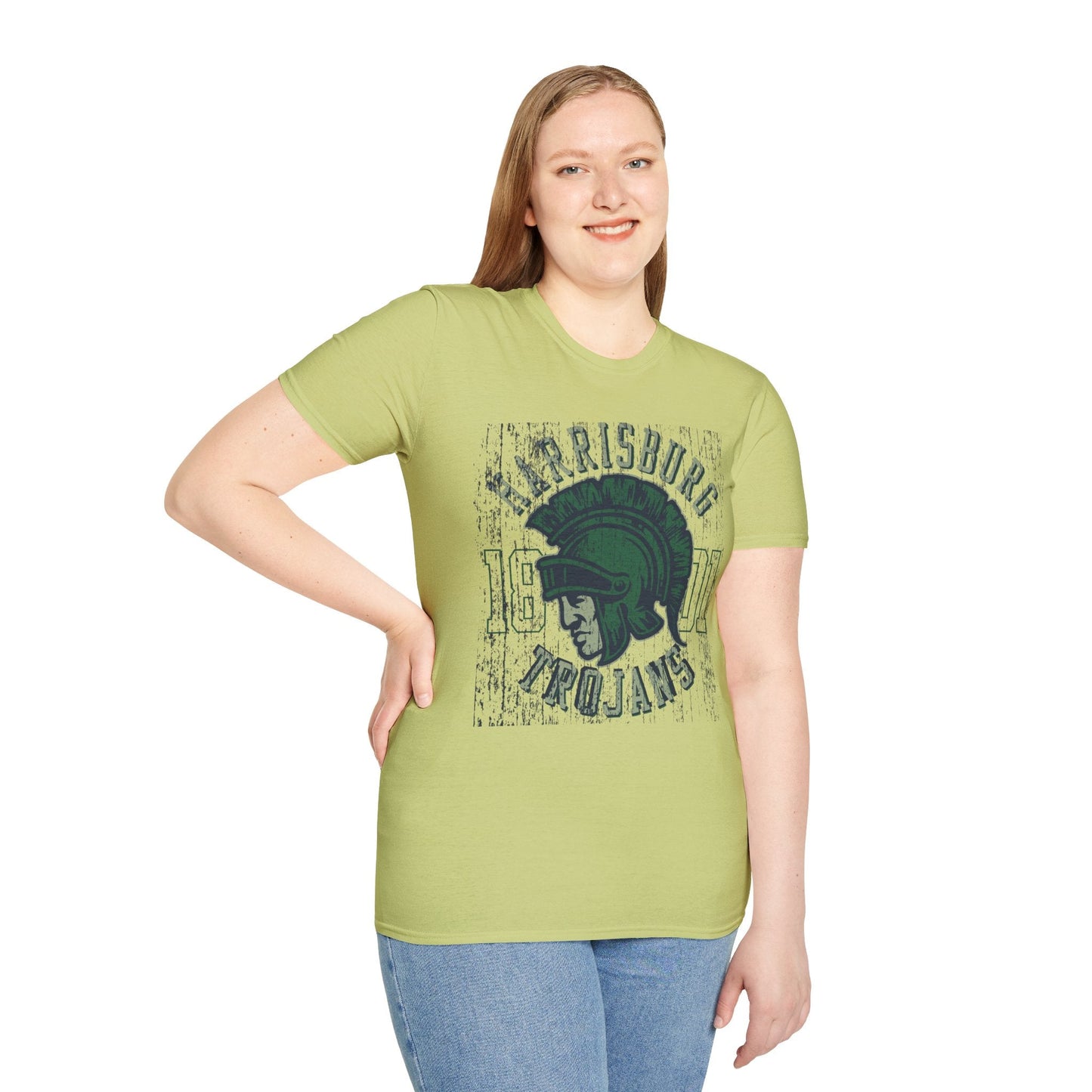 Unisex Gildan Softstyle 64000 Art Design Graphic T Shirt With Artwork Print For Everyday Wear