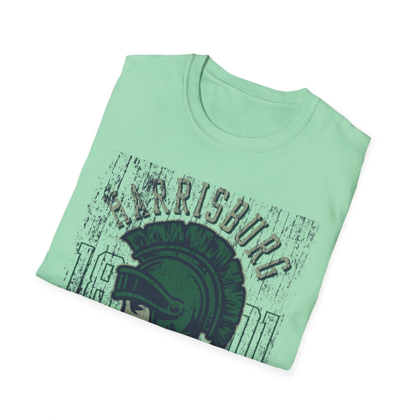 Unisex Gildan Softstyle 64000 Art Design Graphic T Shirt With Artwork Print For Everyday Wear