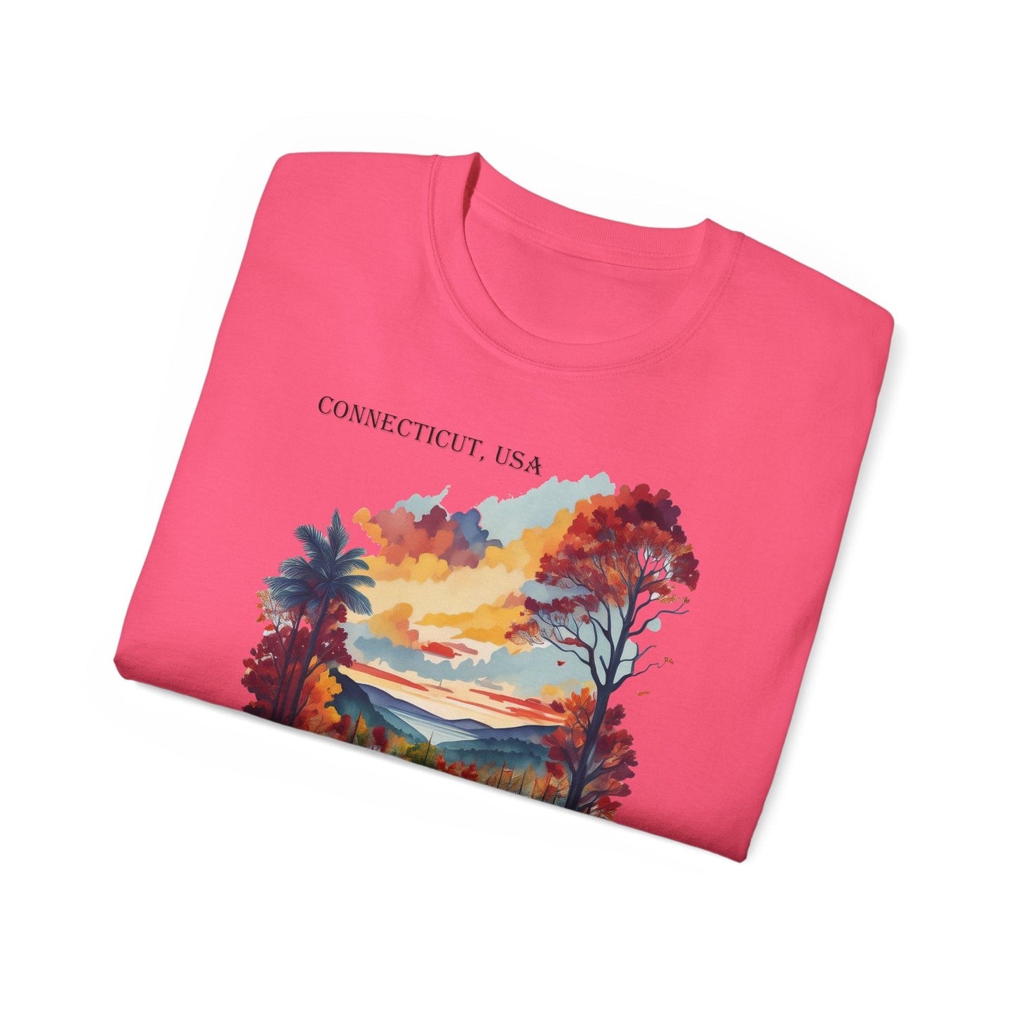 Connecticut Graphic Unisex Cotton T‑Shirt 1