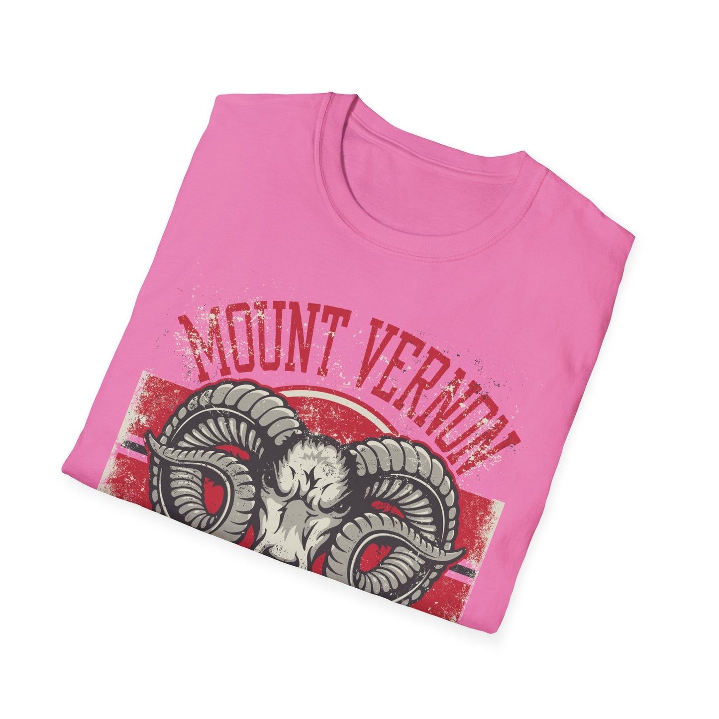 Art Design Graphic Tee Shirt Unisex Softstyle 100 Percent Cotton Gildan 64000 Premium Comfort