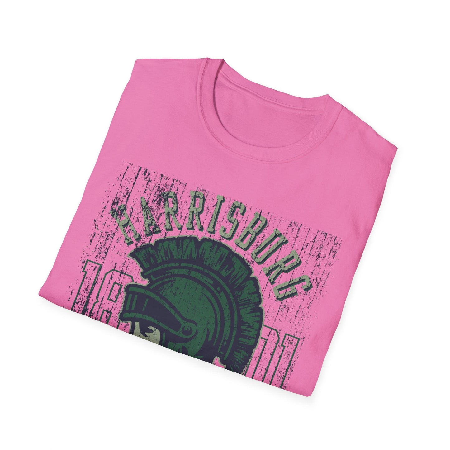 Unisex Gildan Softstyle 64000 Art Design Graphic T Shirt With Artwork Print For Everyday Wear