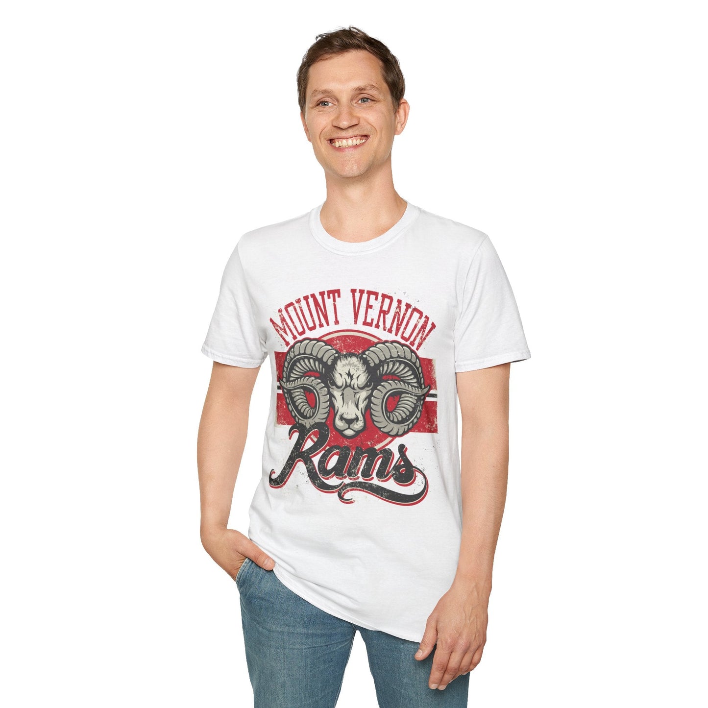 Art Design Graphic Tee Shirt Unisex Softstyle 100 Percent Cotton Gildan 64000 Premium Comfort