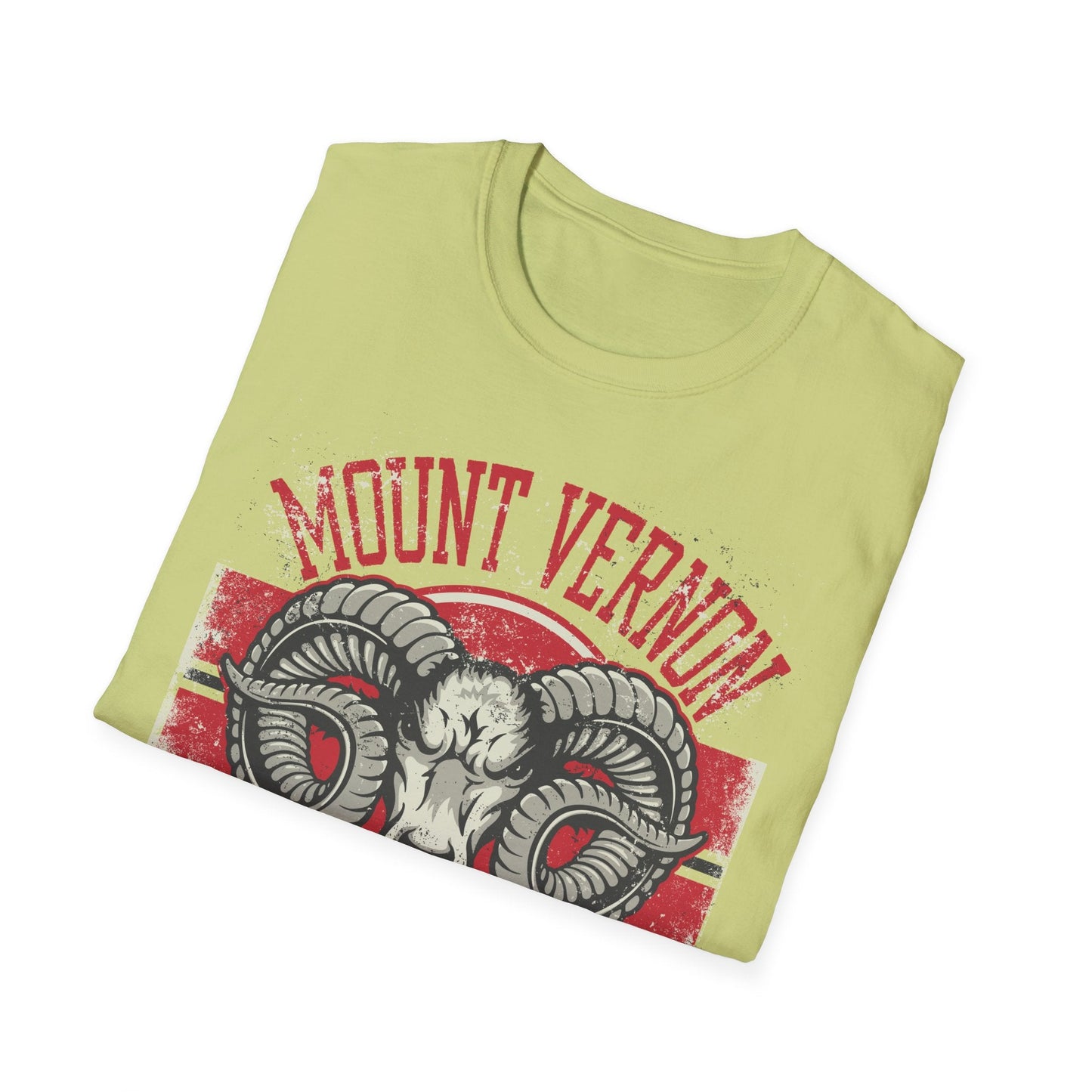 Art Design Graphic Tee Shirt Unisex Softstyle 100 Percent Cotton Gildan 64000 Premium Comfort