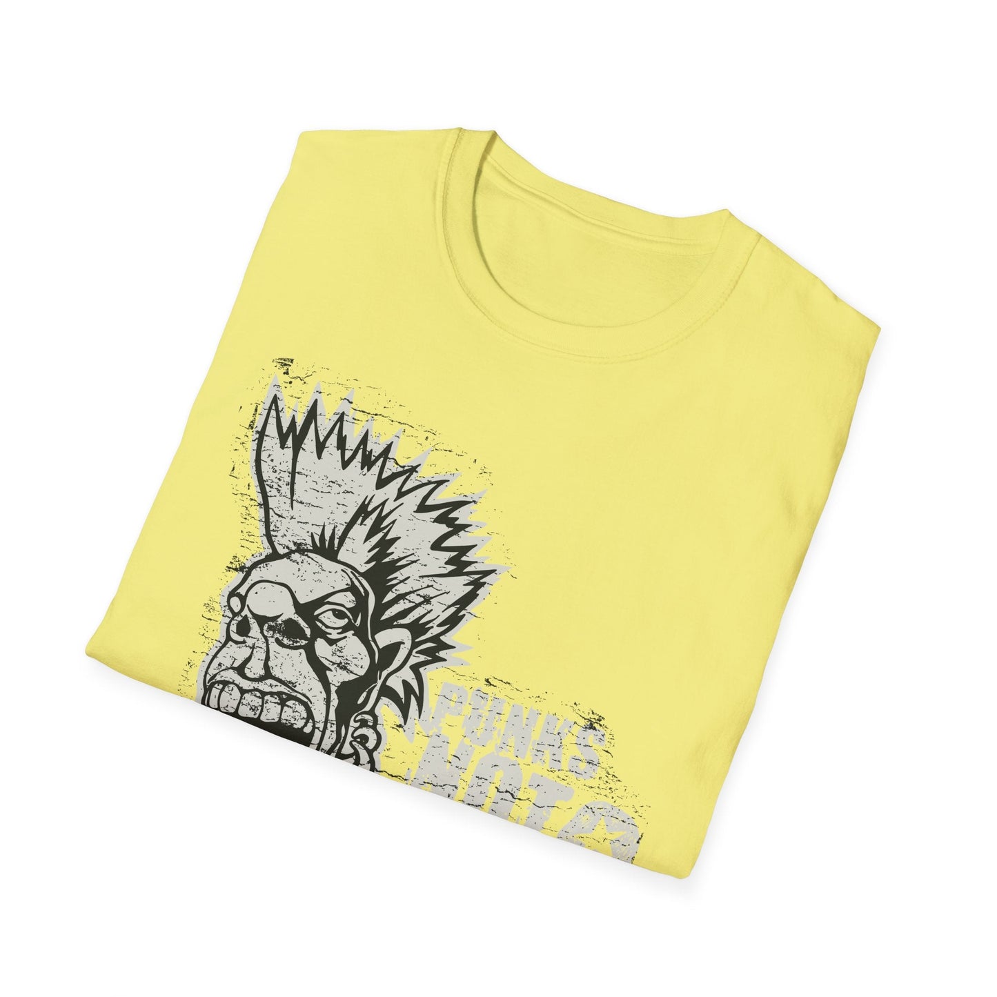 Art Design Graphic Unisex Softstyle T Shirt With Graphic Art Tee For Everyday Wear