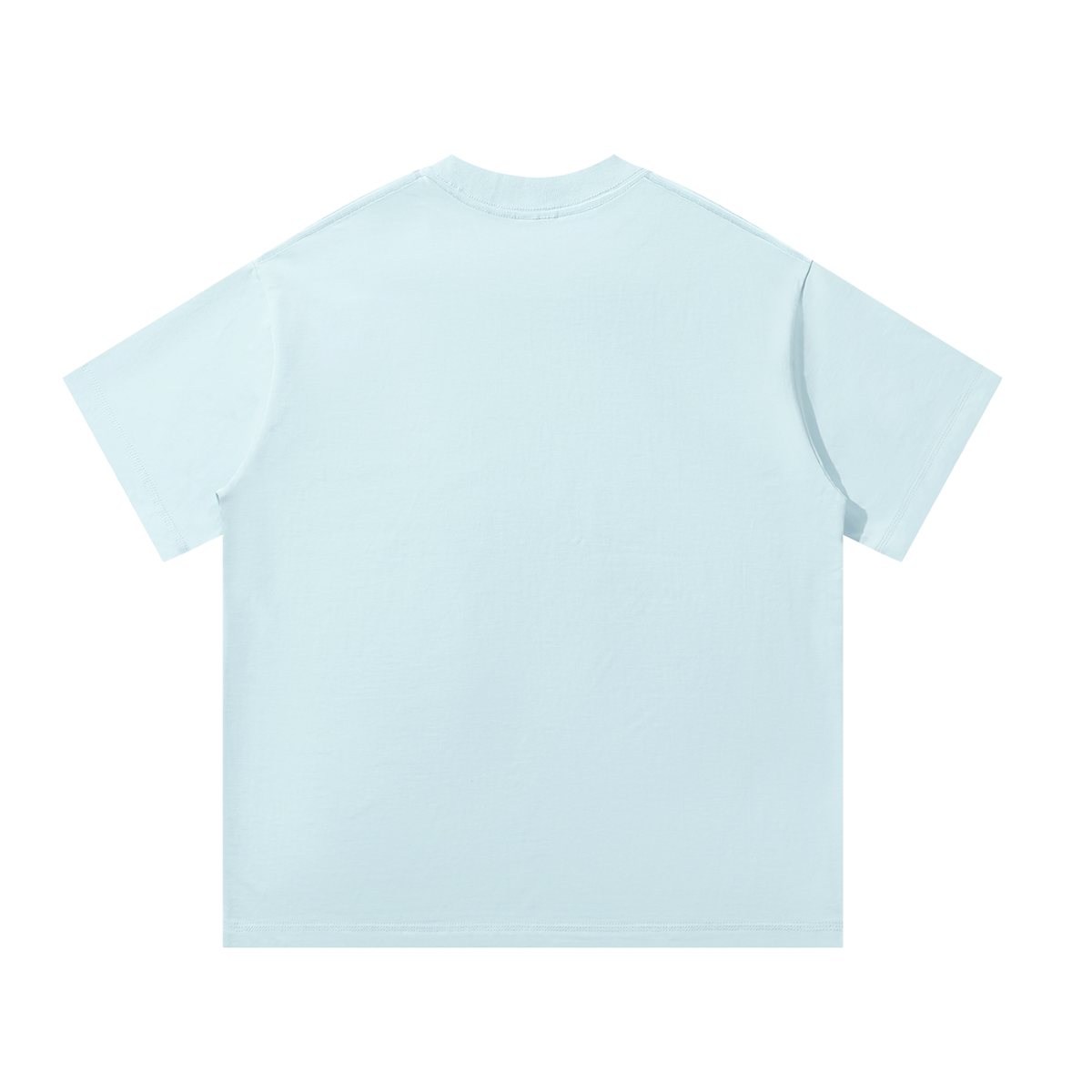 Parrot Beach Unisex Oversized 100 Cotton T-Shirt