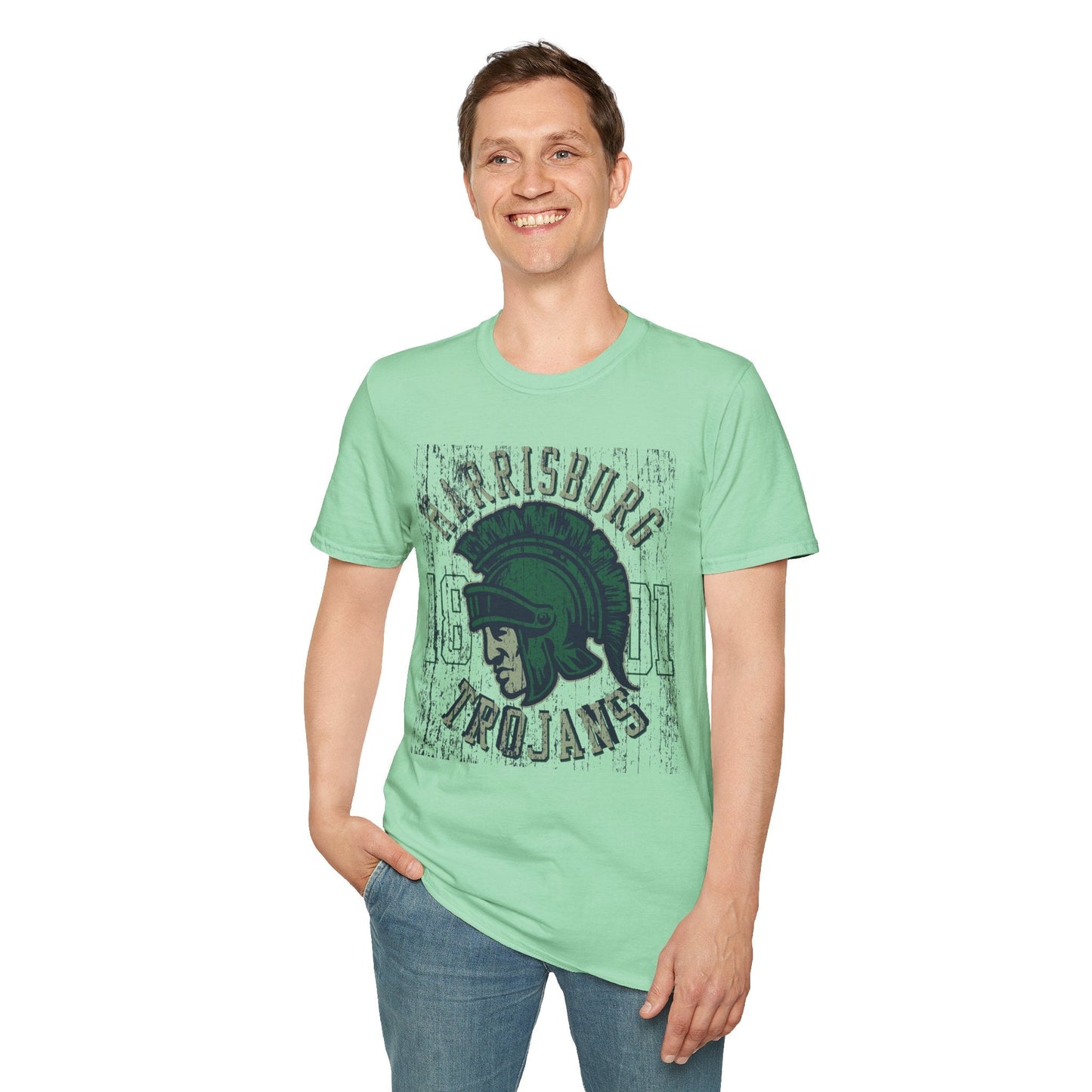 Unisex Gildan Softstyle 64000 Art Design Graphic T Shirt With Artwork Print For Everyday Wear
