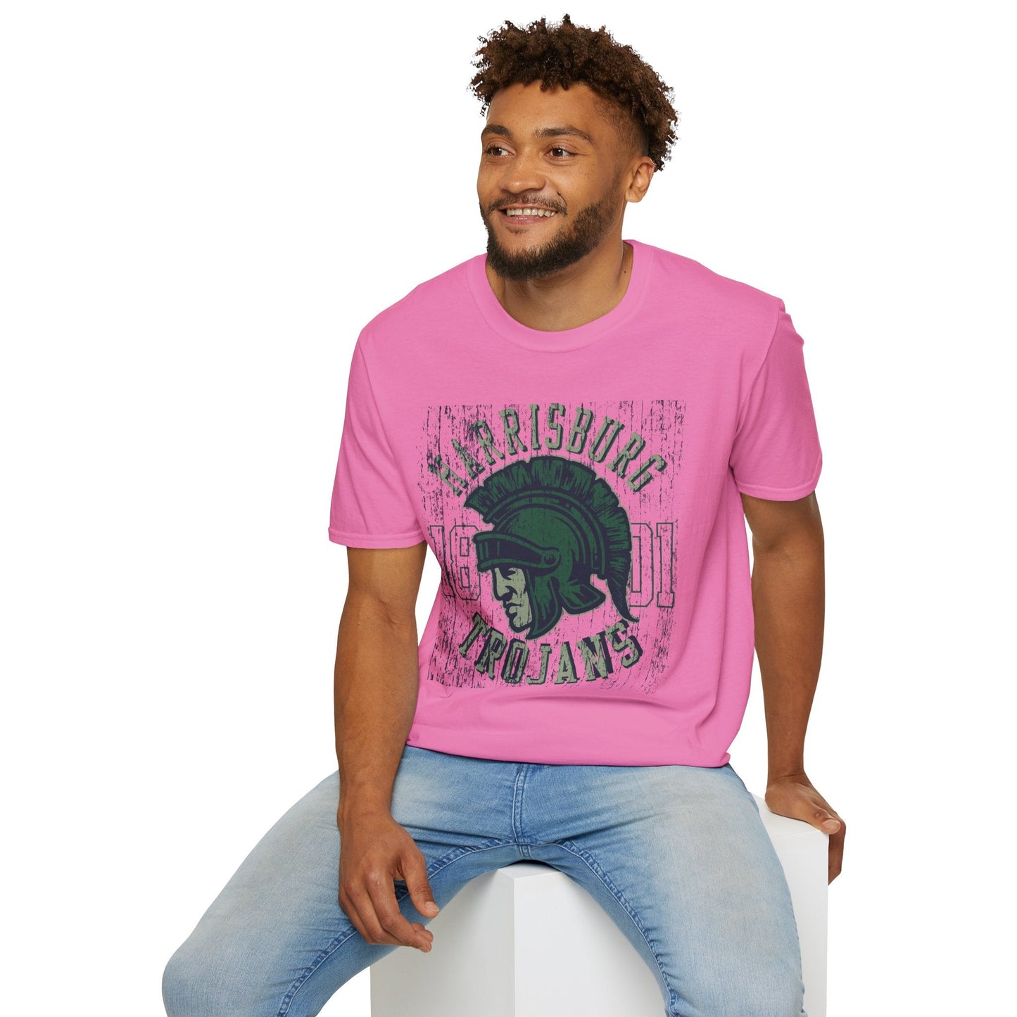 Unisex Gildan Softstyle 64000 Art Design Graphic T Shirt With Artwork Print For Everyday Wear