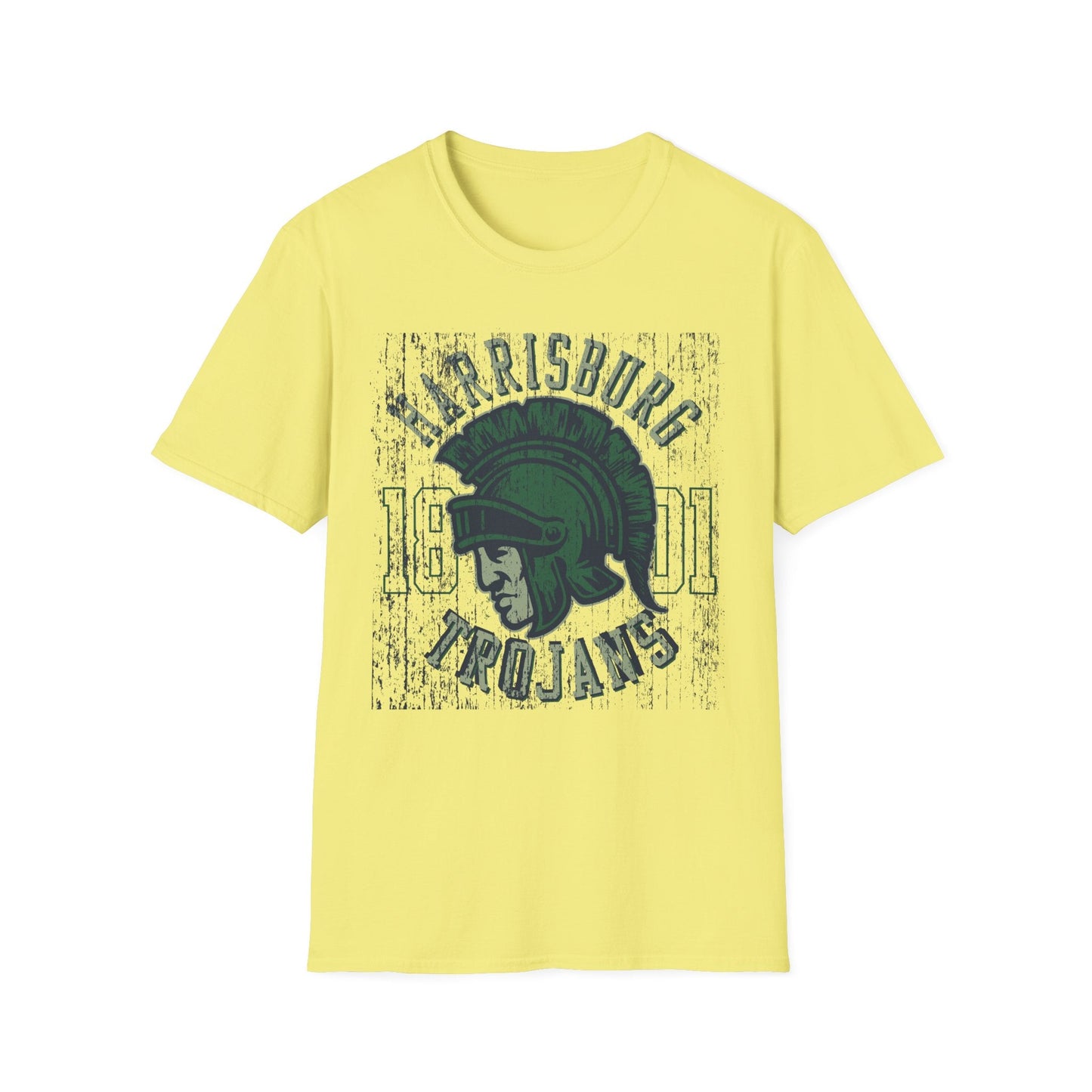 Unisex Gildan Softstyle 64000 Art Design Graphic T Shirt With Artwork Print For Everyday Wear