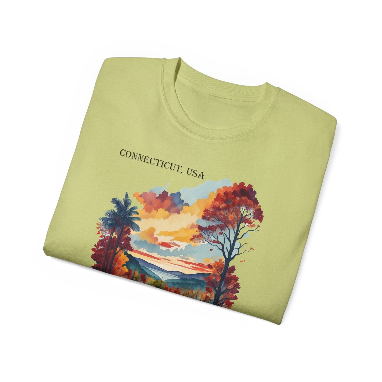 Connecticut Graphic Unisex Cotton T‑Shirt 1