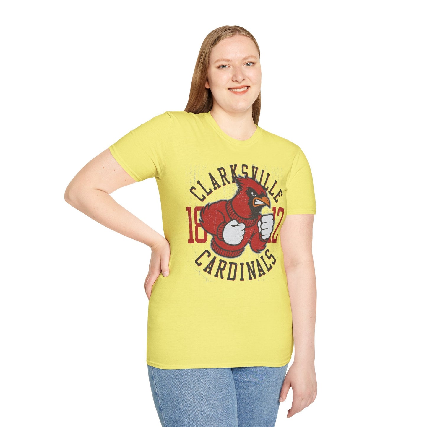 Art Design Graphic Tee Unisex Softstyle Gildan 64000 100 Percent Ring Spun Cotton