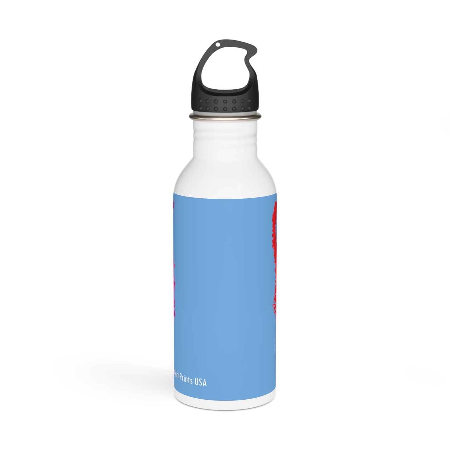 Tumbler Water Bottle with art designs