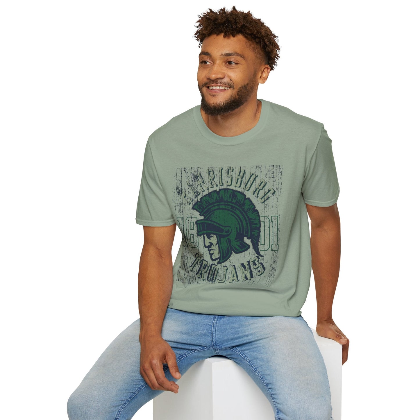 Unisex Gildan Softstyle 64000 Art Design Graphic T Shirt With Artwork Print For Everyday Wear