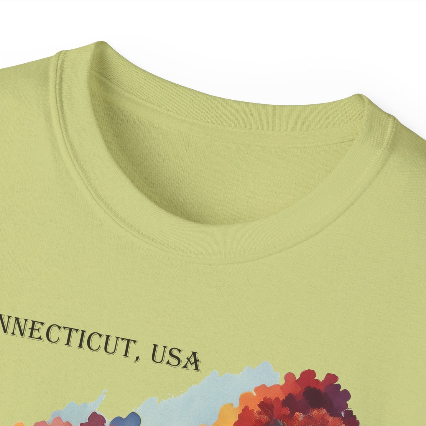 Connecticut Graphic Unisex Cotton T‑Shirt 1