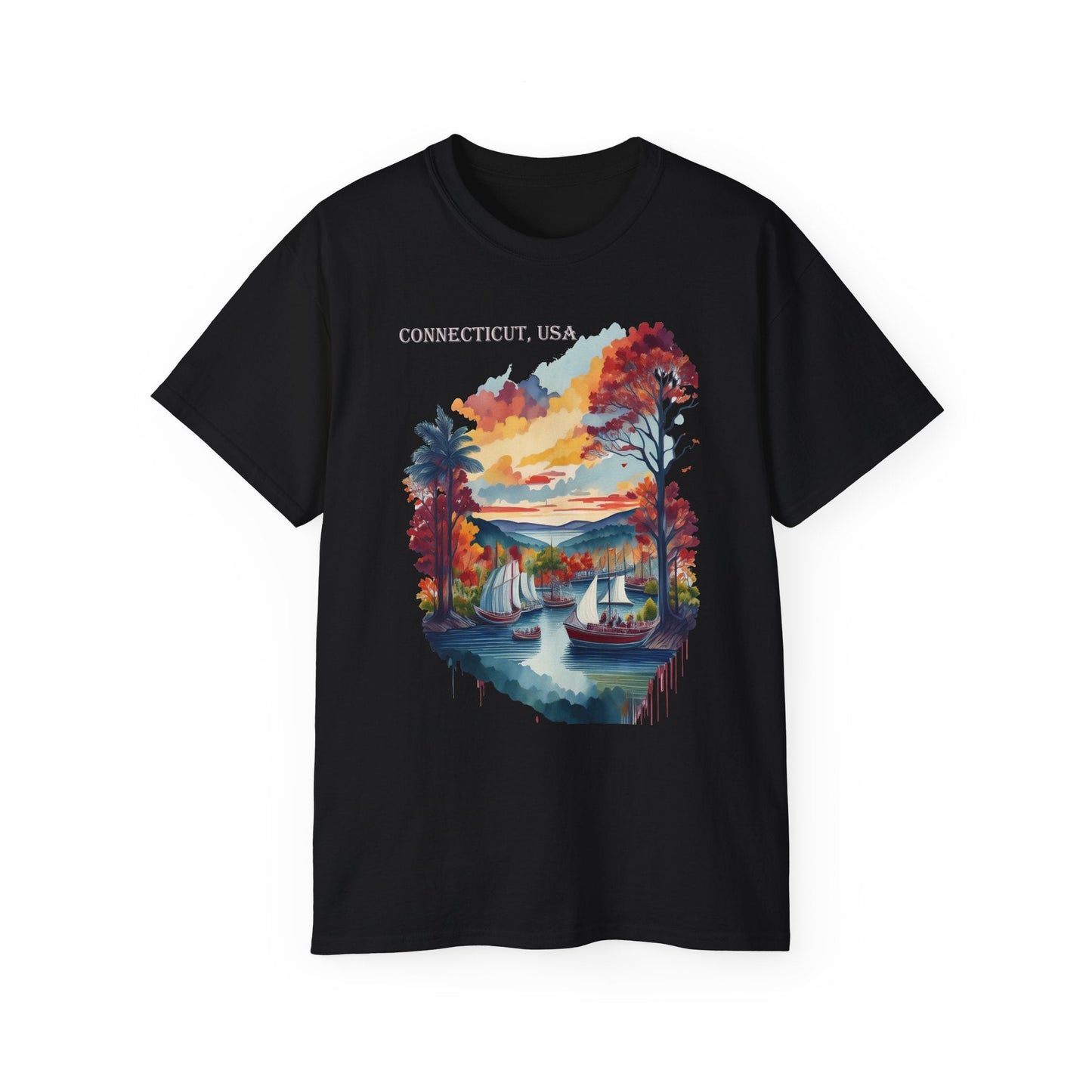 Connecticut Graphic Unisex Cotton T‑Shirt 1
