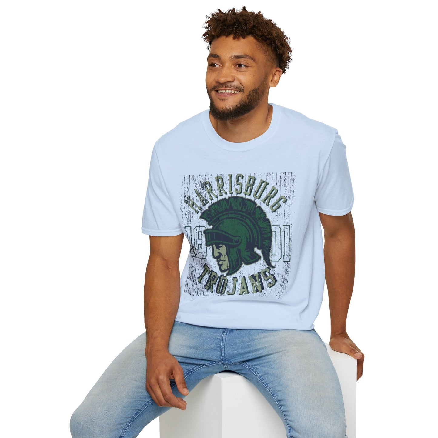 Unisex Gildan Softstyle 64000 Art Design Graphic T Shirt With Artwork Print For Everyday Wear