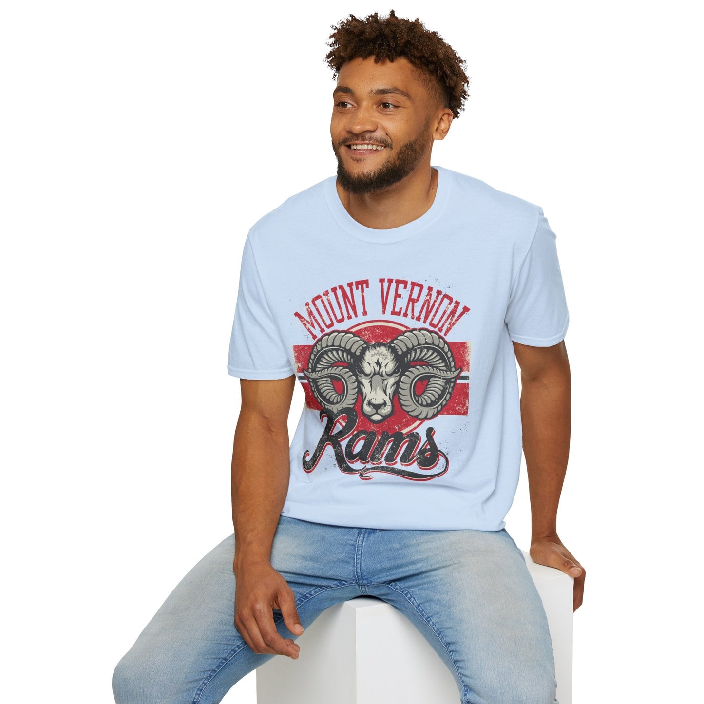 Art Design Graphic Tee Shirt Unisex Softstyle 100 Percent Cotton Gildan 64000 Premium Comfort