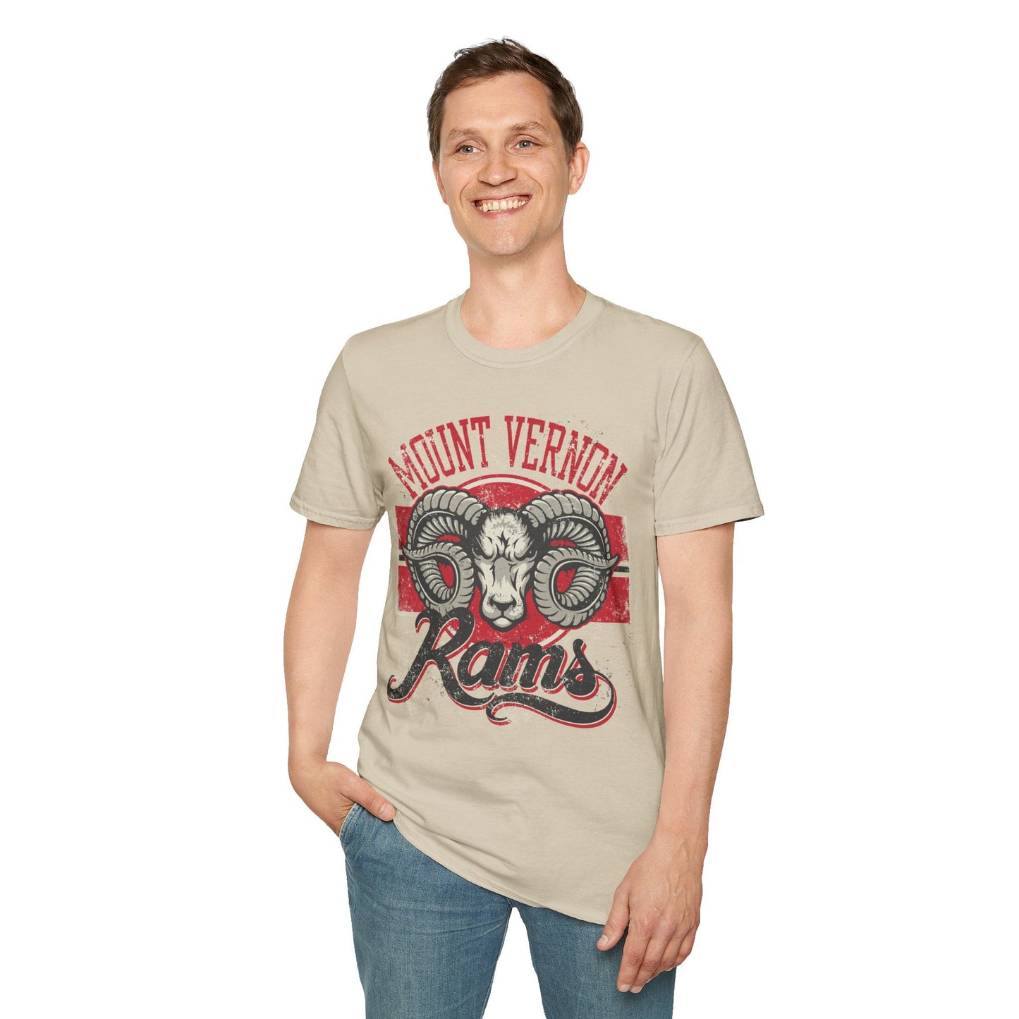 Art Design Graphic Tee Shirt Unisex Softstyle 100 Percent Cotton Gildan 64000 Premium Comfort