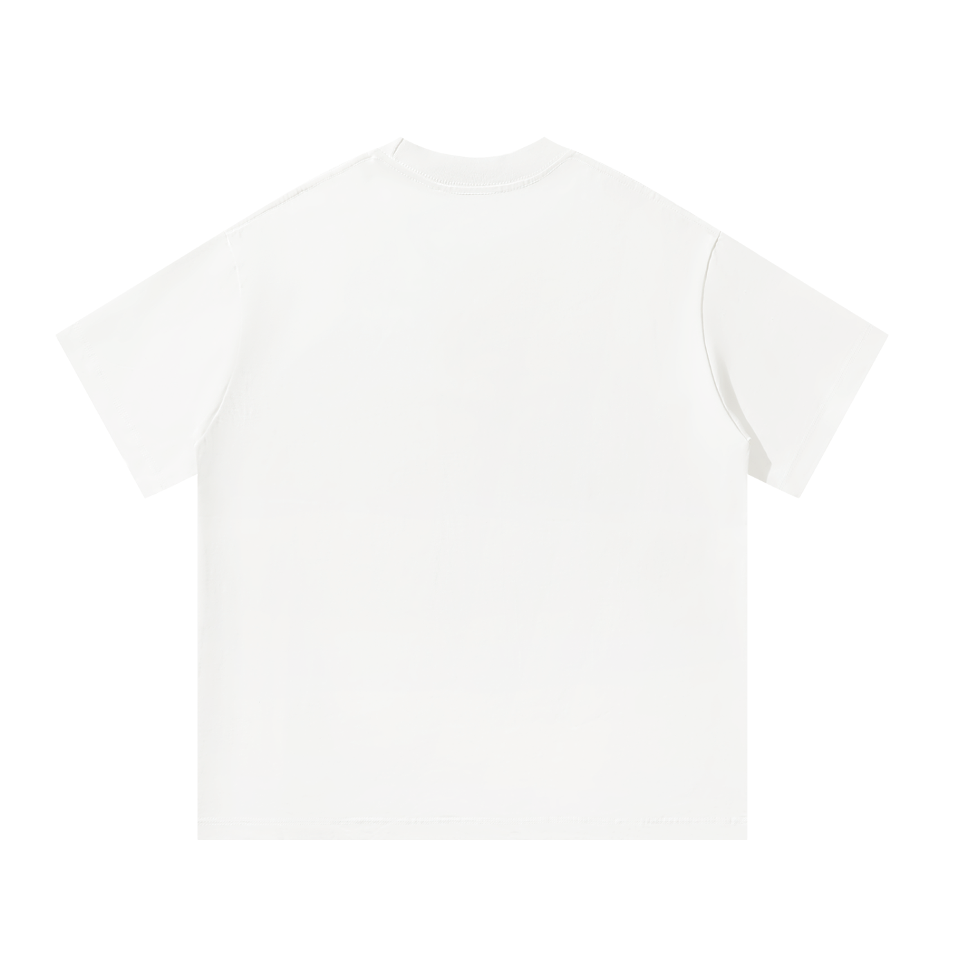 Parrot Beach Unisex Oversized 100 Cotton T-Shirt