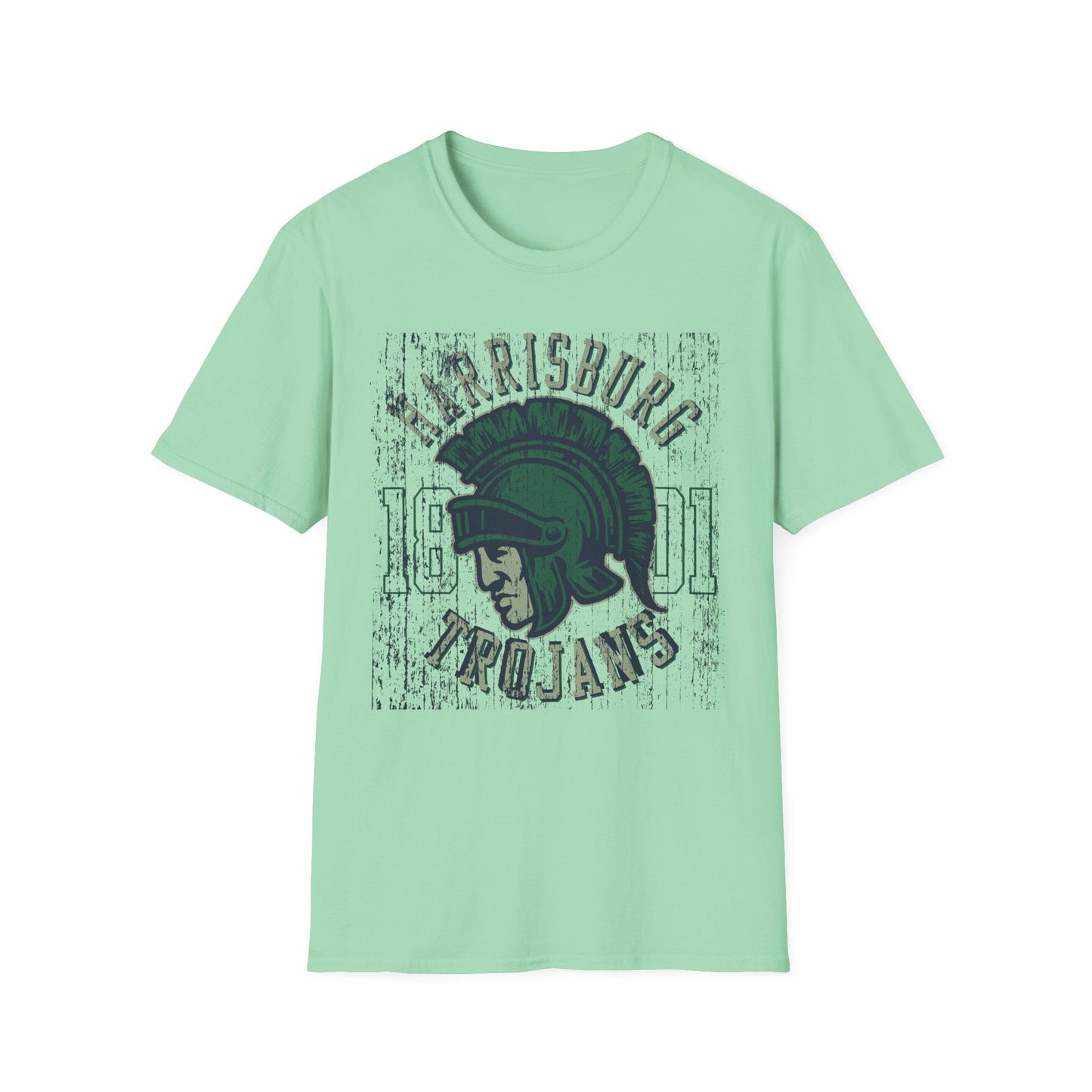 Unisex Gildan Softstyle 64000 Art Design Graphic T Shirt With Artwork Print For Everyday Wear