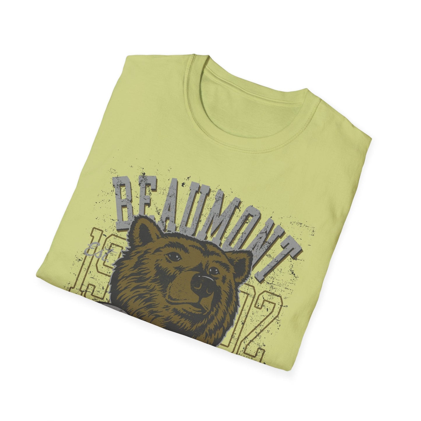 Art Design Shirt Graphic Tee Unisex Softstyle Gildan 64000 100 Percent Ring Spun Cotton