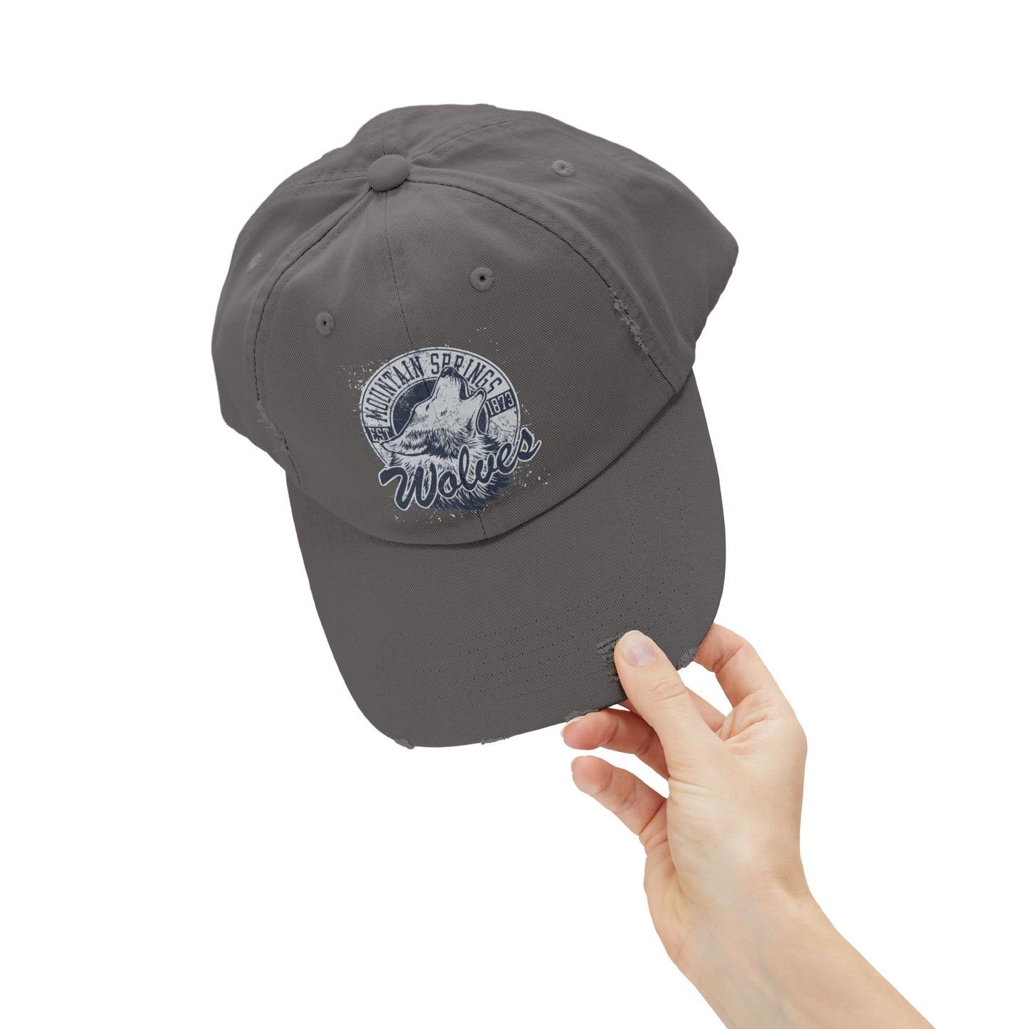 Unisex Vintage Sports Logo Cap, Cap with Sports Logo, Cap with Band Logo
