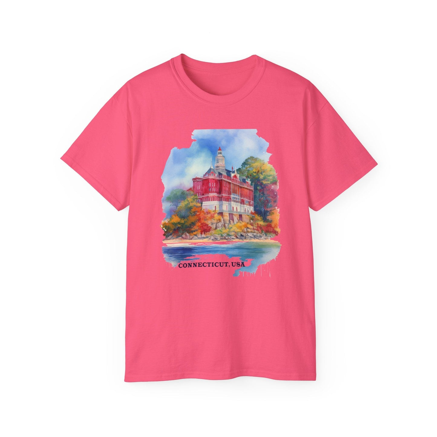 Connecticut Graphic Unisex Cotton T‑Shirt 2