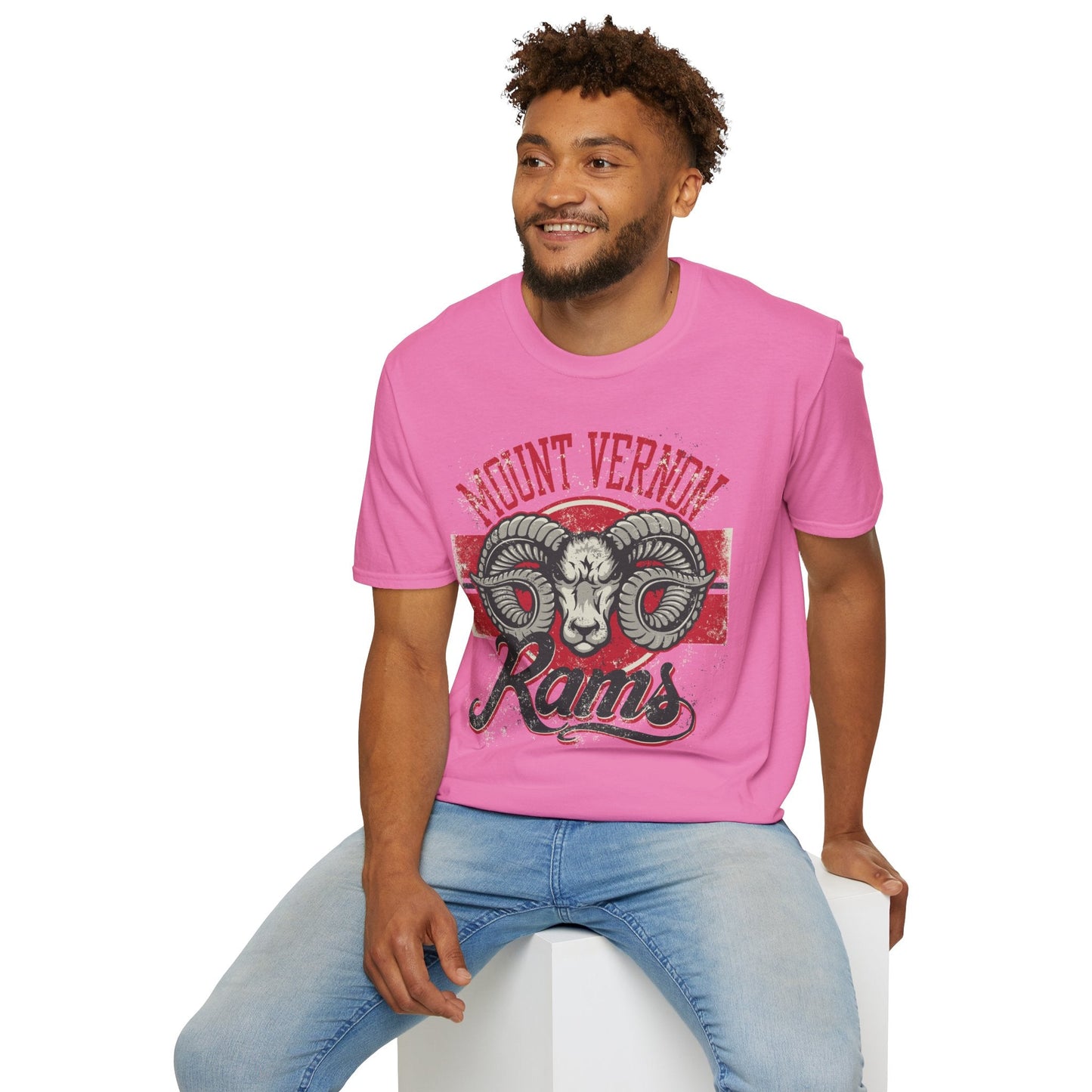 Art Design Graphic Tee Shirt Unisex Softstyle 100 Percent Cotton Gildan 64000 Premium Comfort