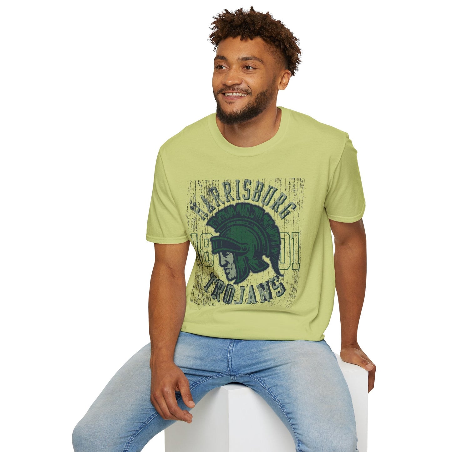 Unisex Gildan Softstyle 64000 Art Design Graphic T Shirt With Artwork Print For Everyday Wear