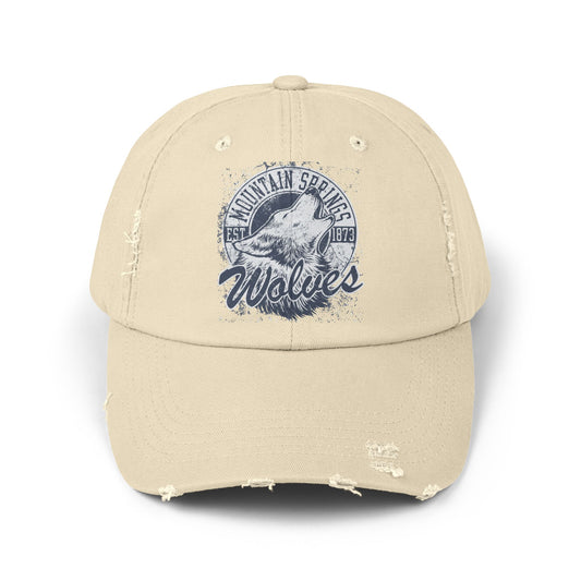 Unisex Vintage Sports Logo Cap, Cap with Sports Logo, Cap with Band Logo