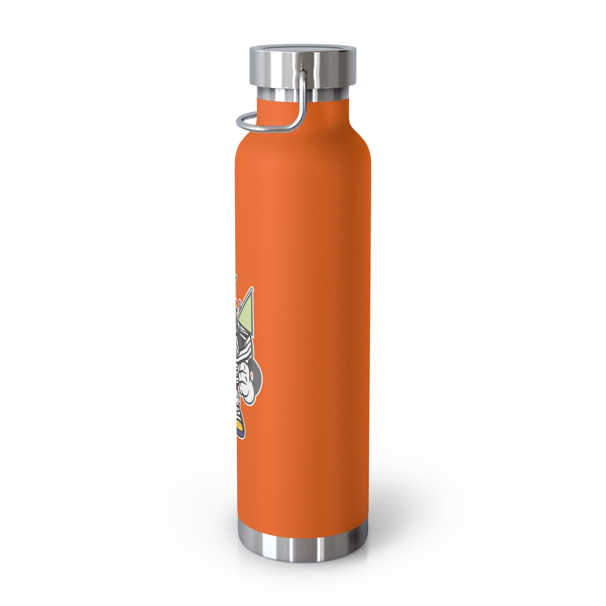 22oz Copper Insulated Water Bottle with Cartoon Design - CV47