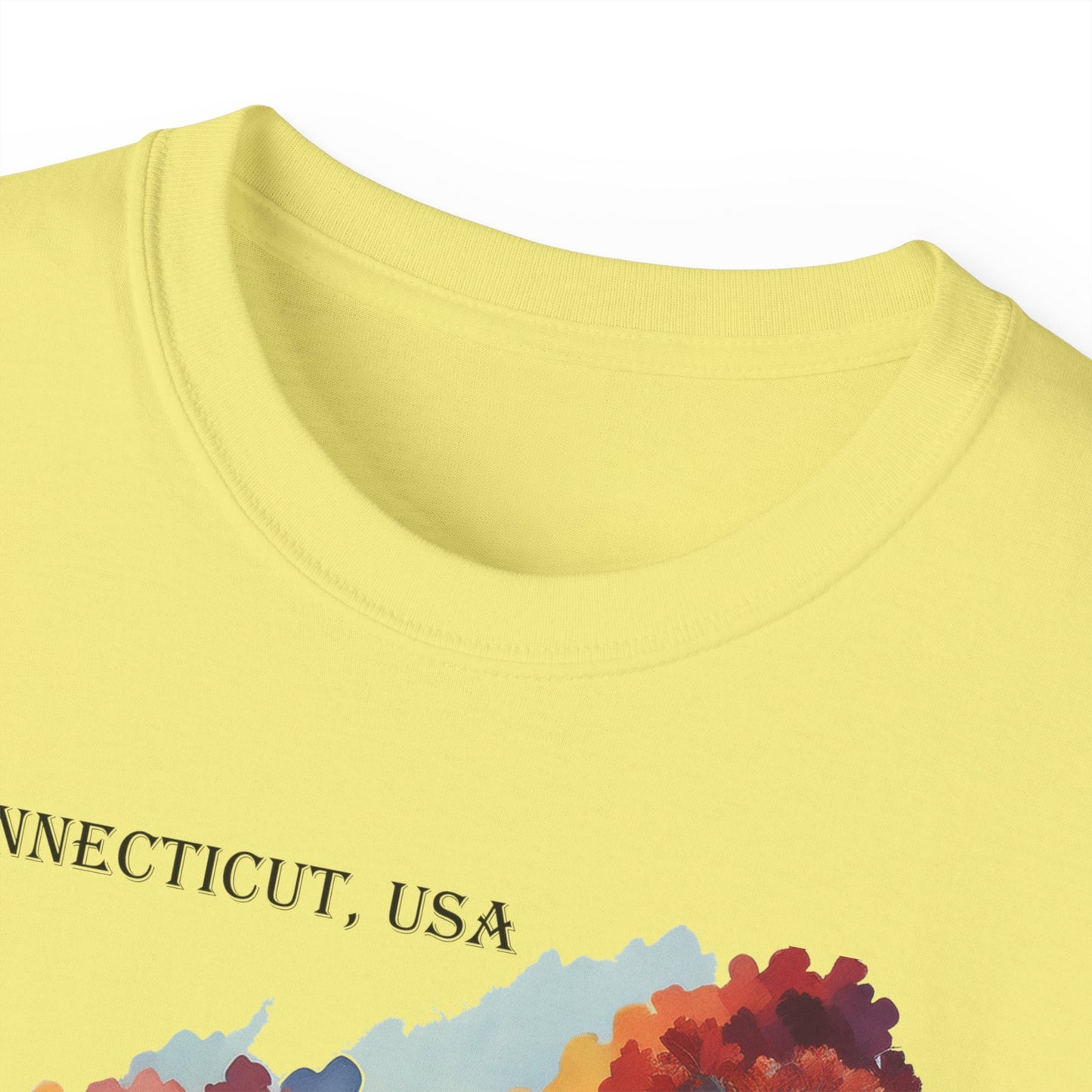 Connecticut Graphic Unisex Cotton T‑Shirt 1